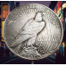 Сувенір монета долар СШАang 1944г “Тигр самурай“. Hobo Coin American Morgan