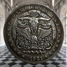 Сувенір монета долар США морган “Візьми контроль над своєю долею“. Hobo Coin American Morgan