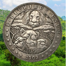 Сувенір монета долар США 1903г. Банк “Лювина сім“я“. Hobo Coin American Morgan