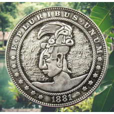 Сувенір монета 1 долар США 1881 гang ZD “Туземець“. Hobo Coin American